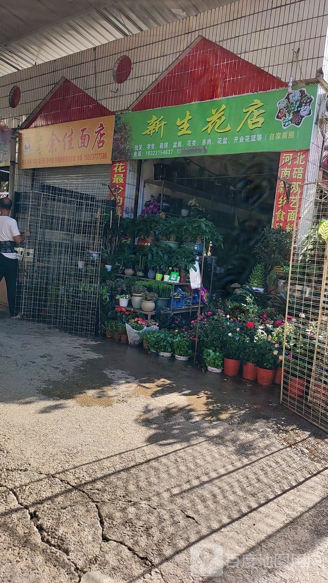 新生村花店