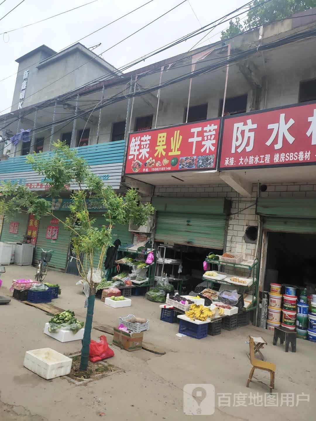 沈丘县刘庄店镇鲜菜果业干菜