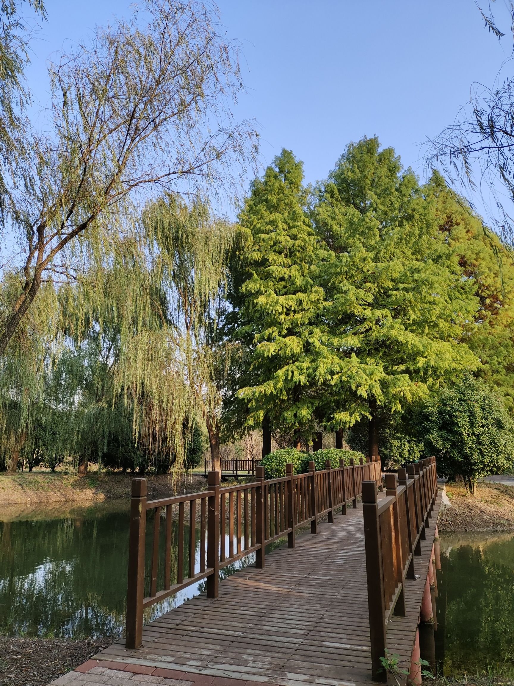 三桥湿地公园