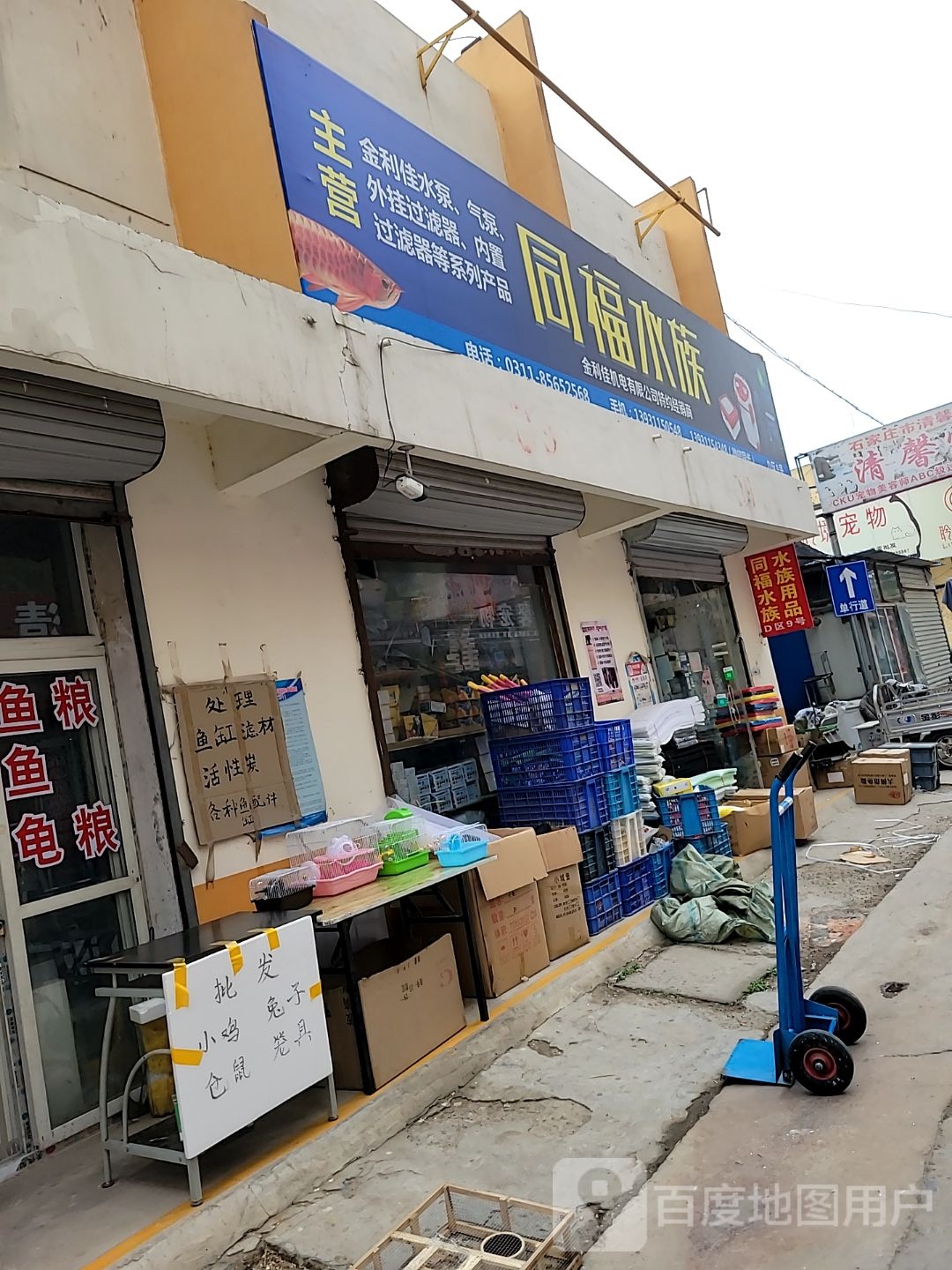 同福水族(东二环北路店)