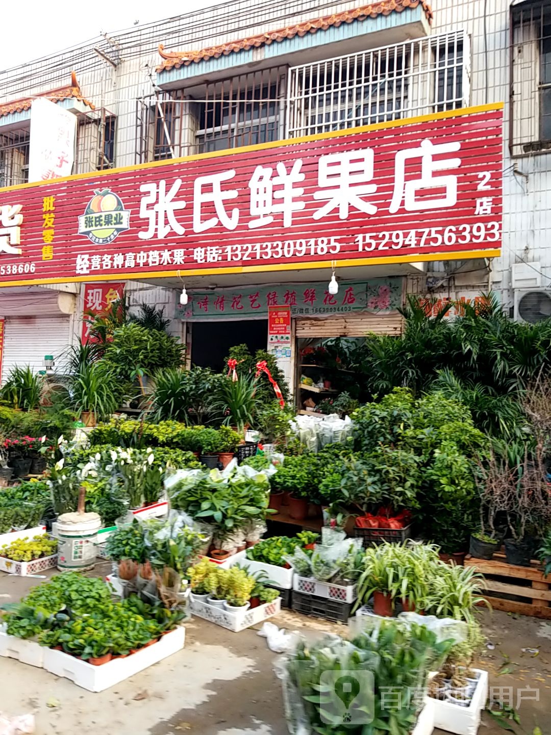 项城市张氏鲜果店