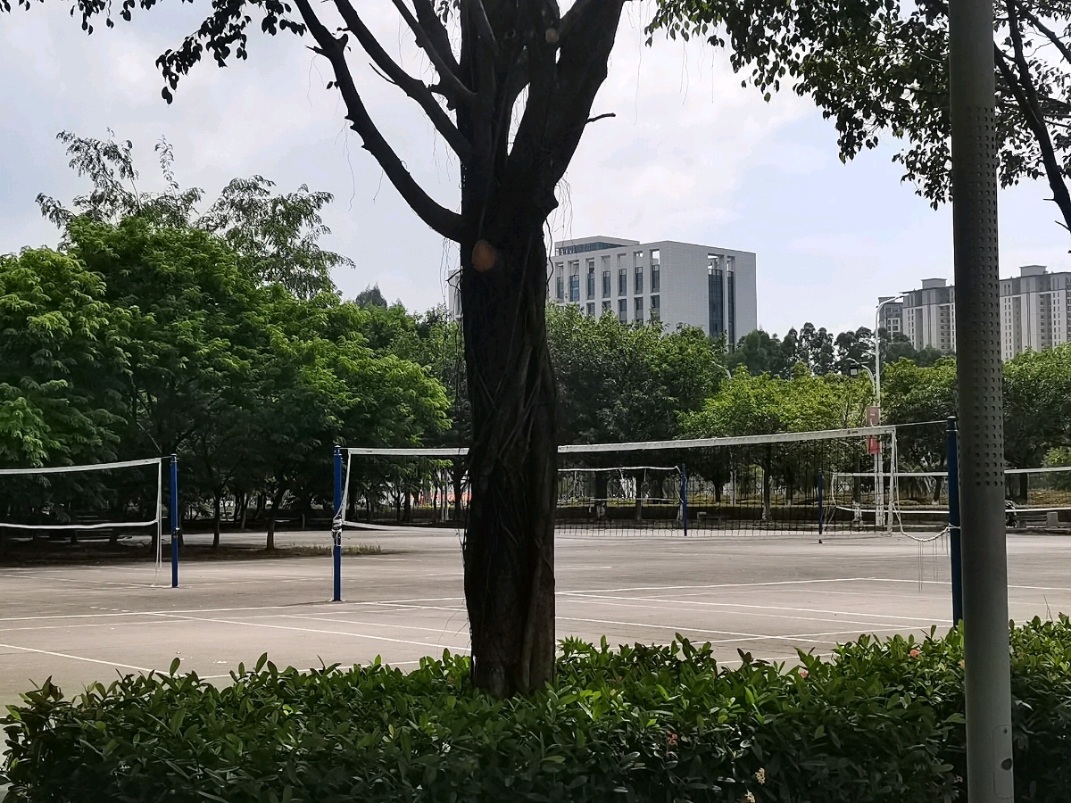羽毛球地