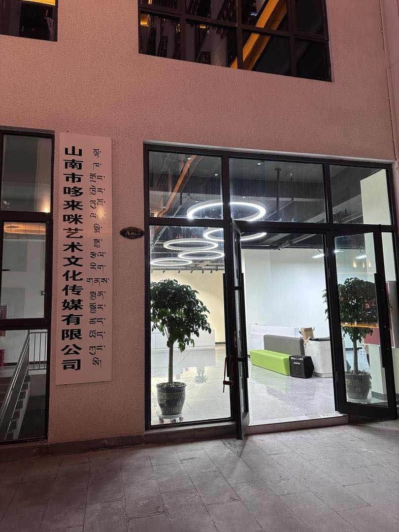 山南市哆来咪艺术文化传媒有限公司