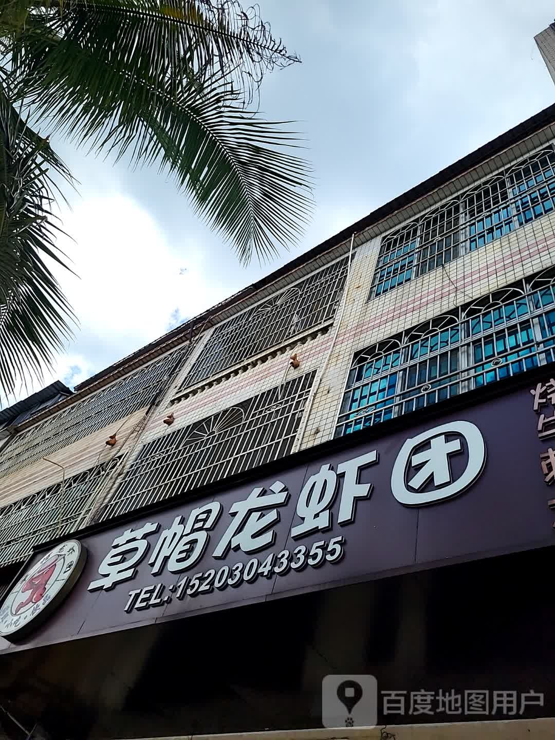 草帽龙虾