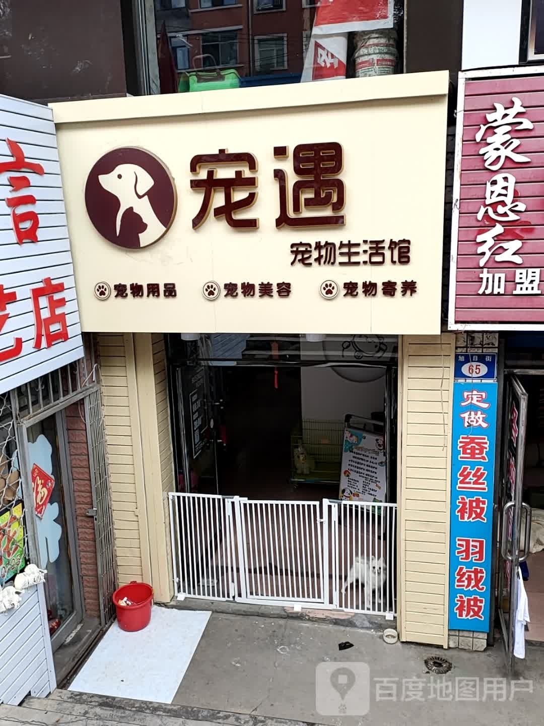 宠遇宠物生活馆(文化小区店)