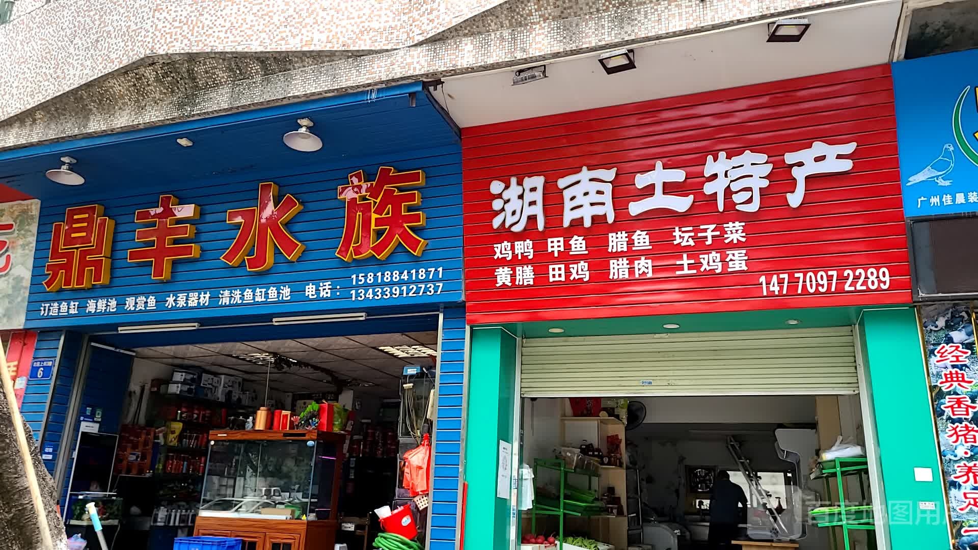 鼎溢水族(北园上街店)