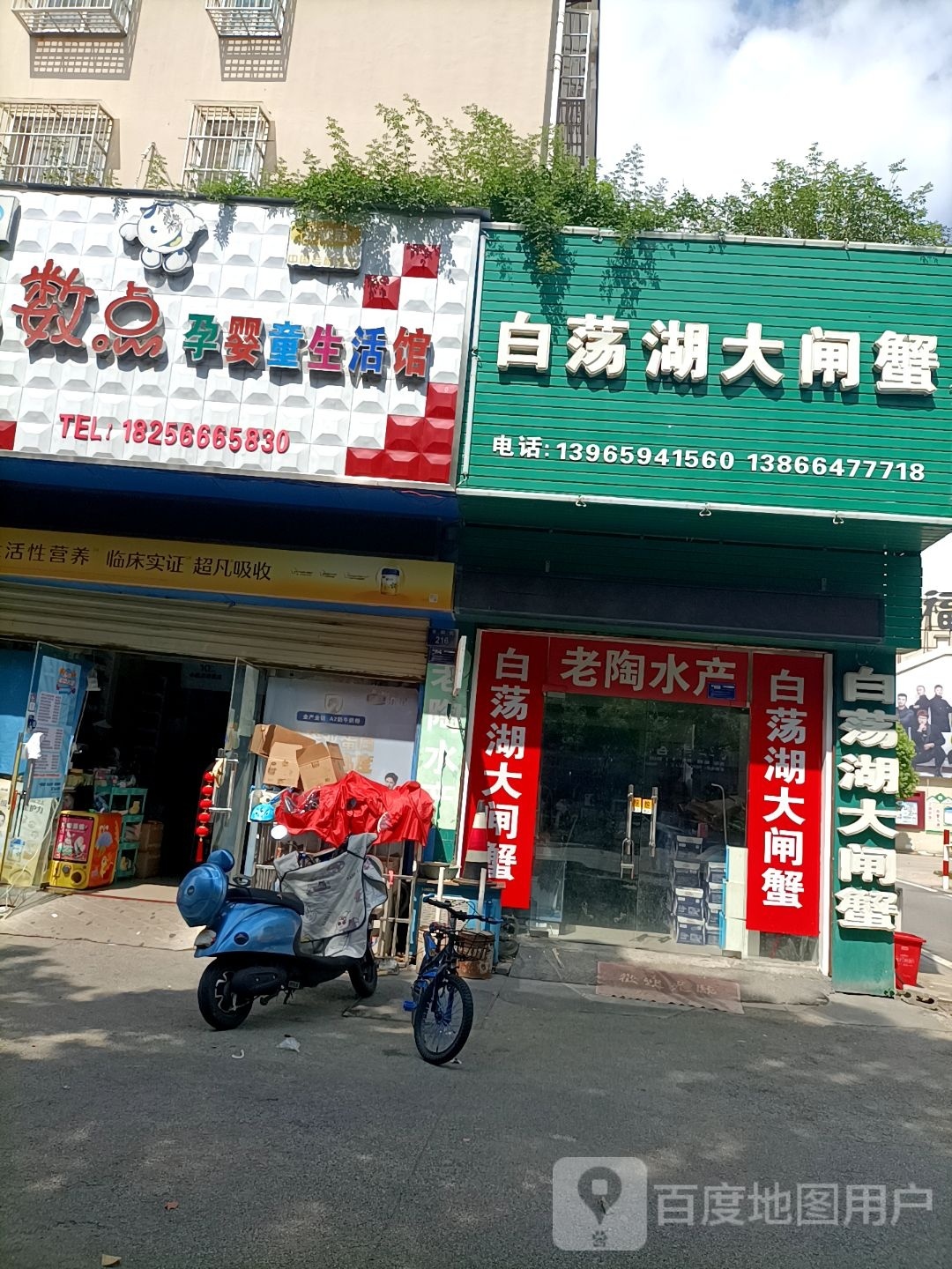 白荡湖螃蟹