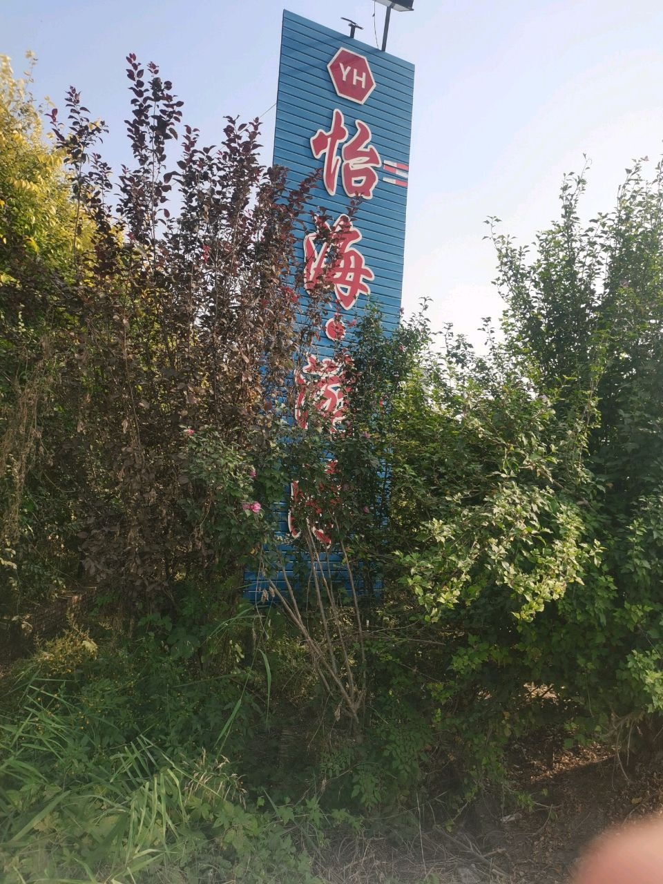 怡海游泳