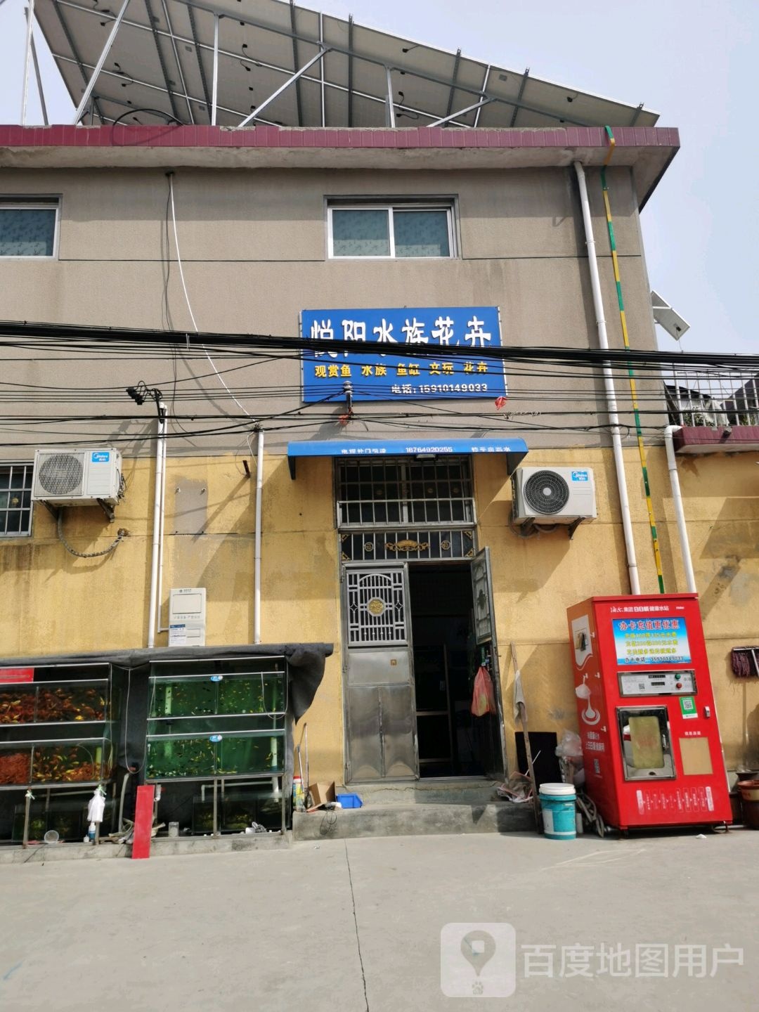 悦阳水族花鸟