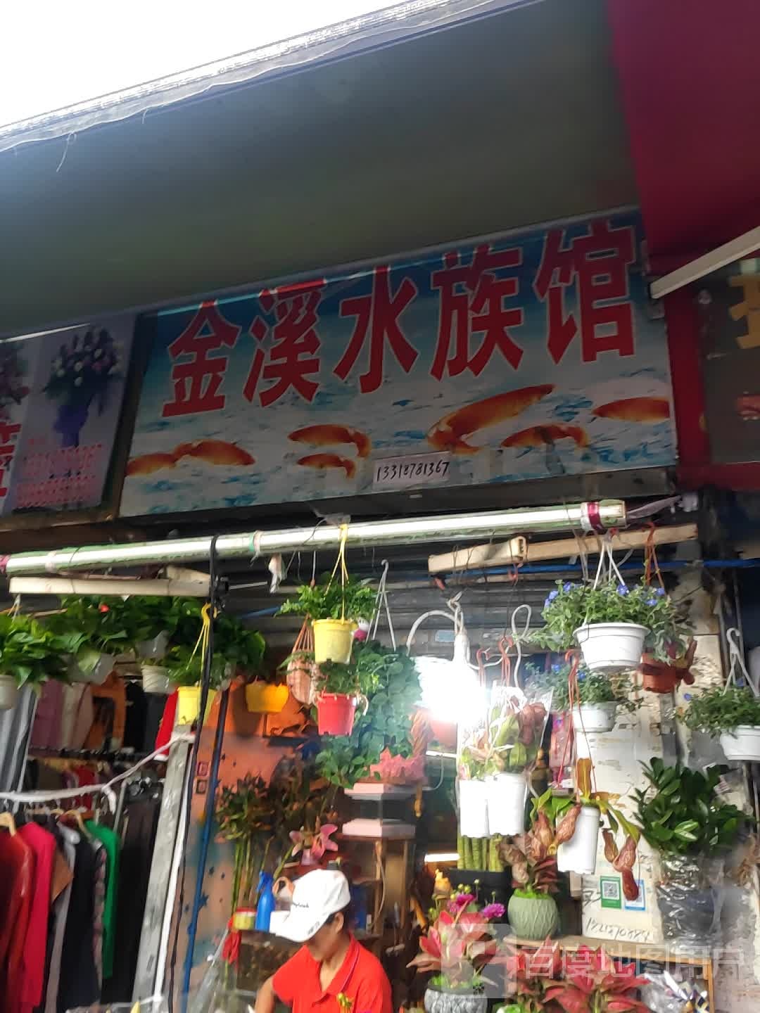 深溪水族馆(金溪农贸市场店)