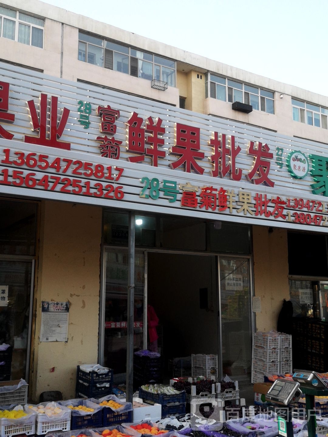 富菊鲜果批发