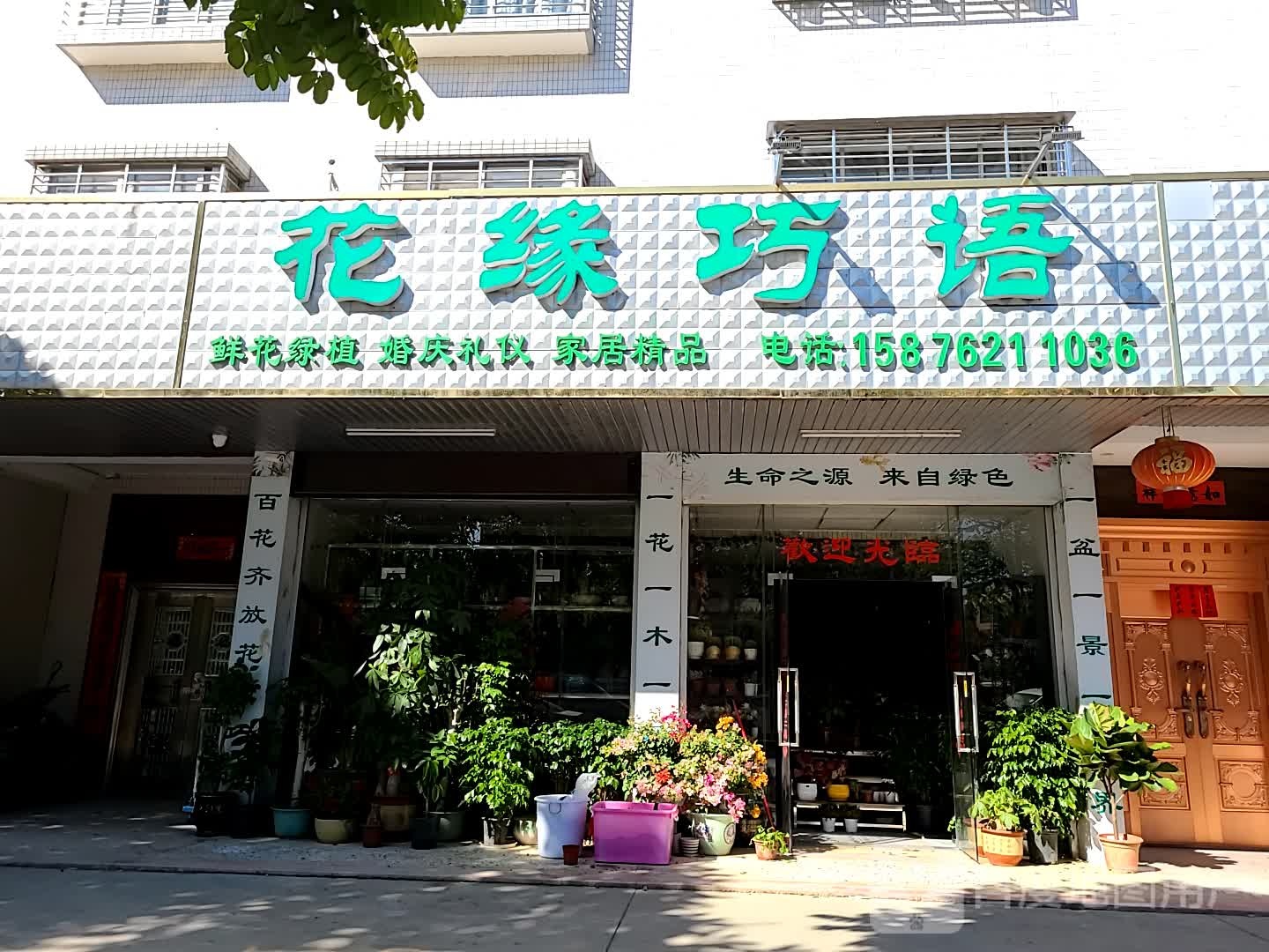 花园巧语