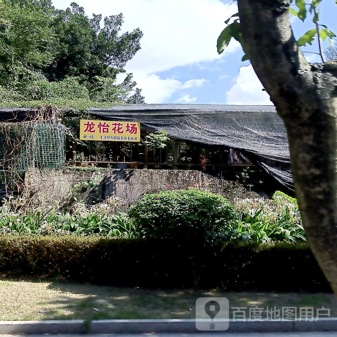 龙怡花场