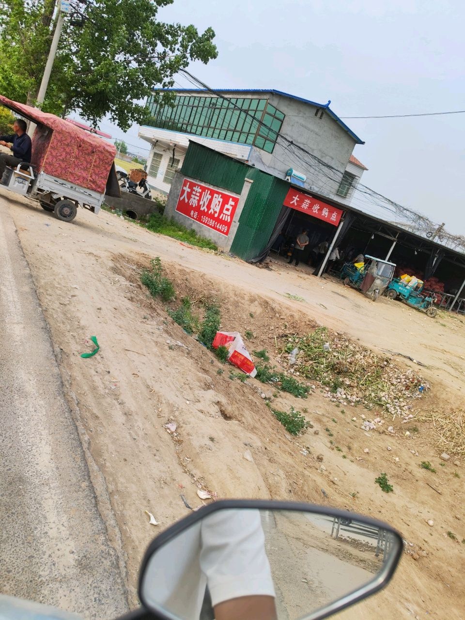 大蒜收购点