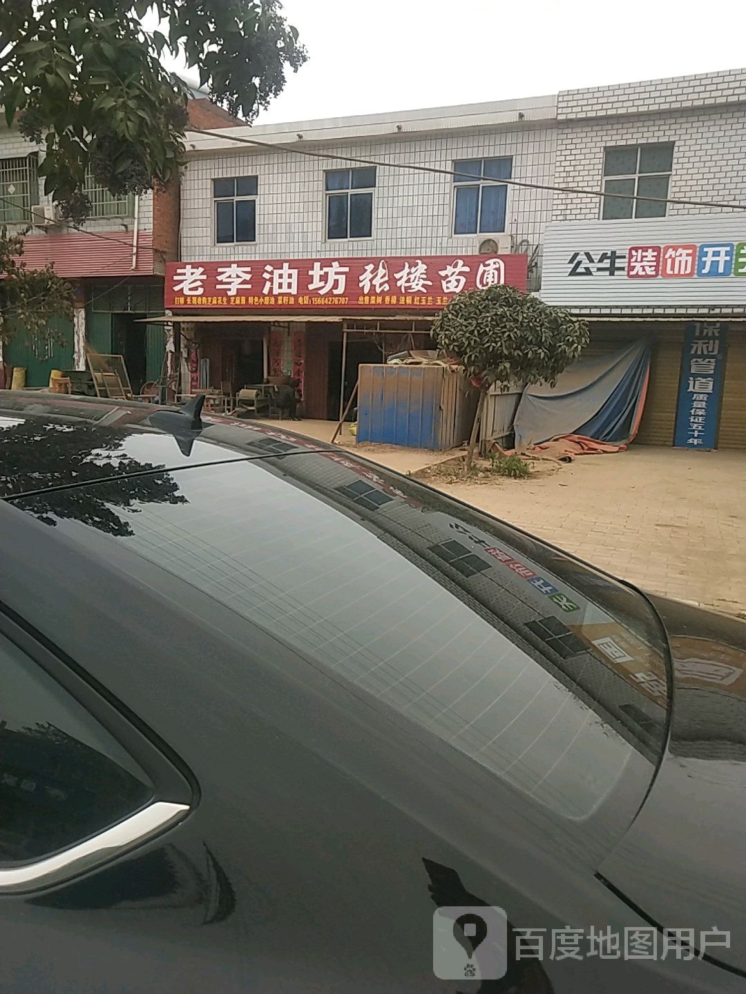 张楼苗圃