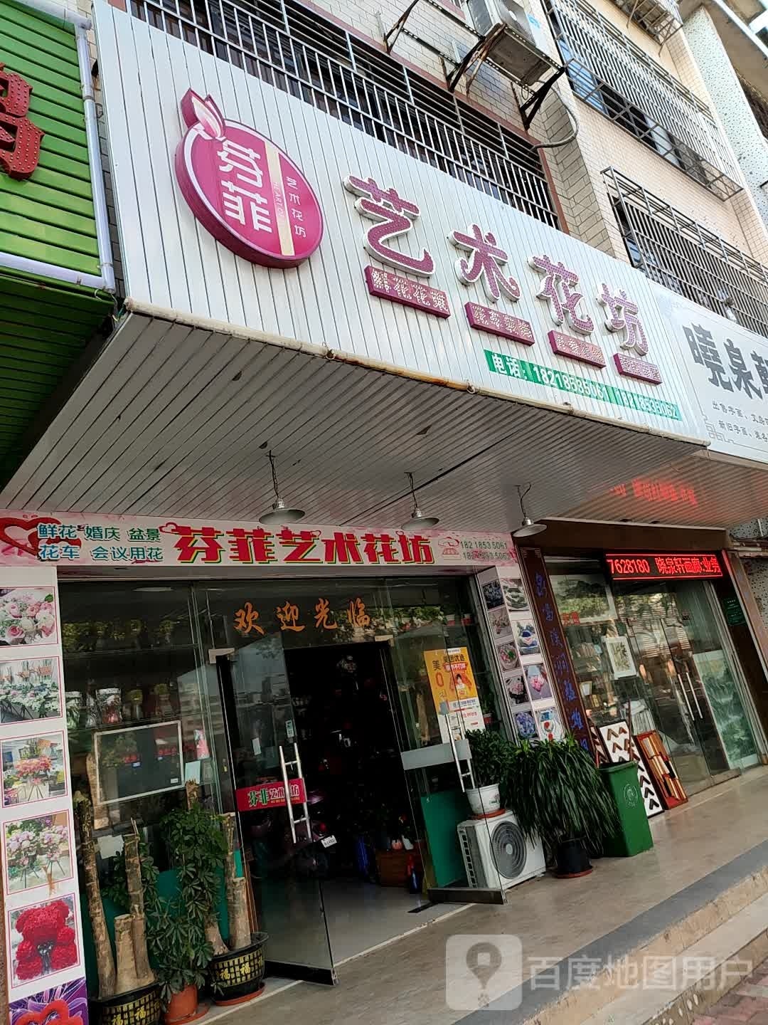 芬菲一束花坊(文明路店)