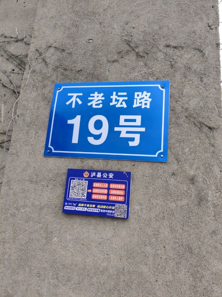 不老坛路19号