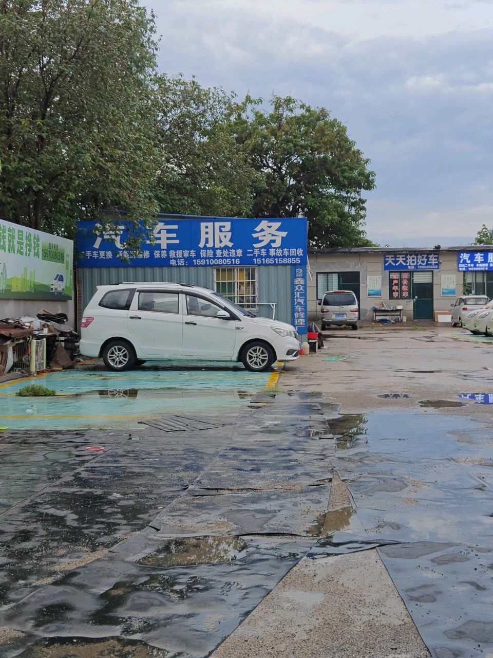 天天拍好车