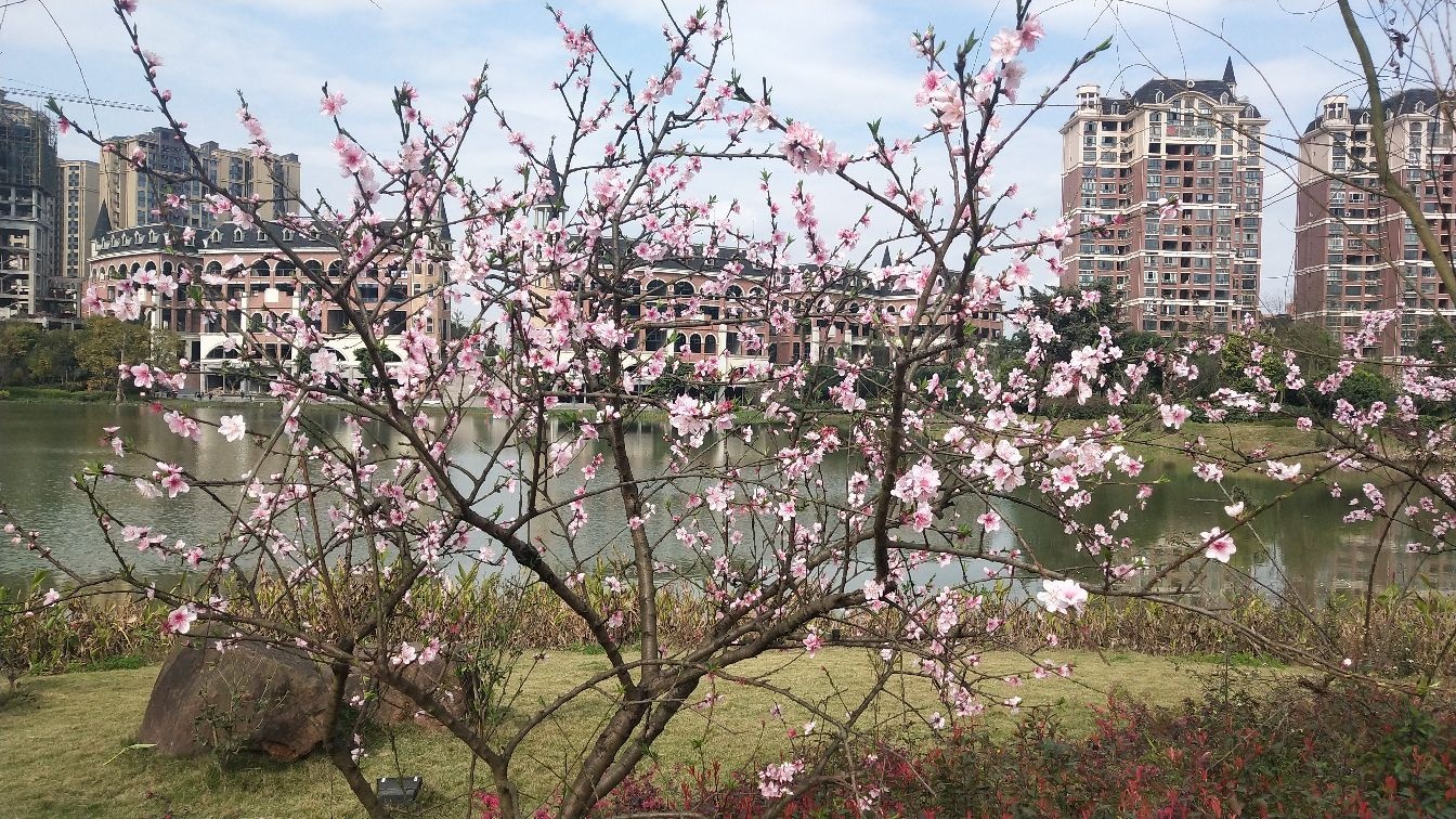 城西湿地公园