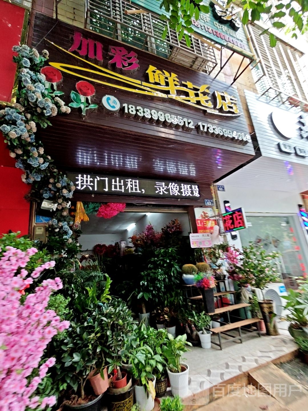 加彩鲜花店(第二分店)