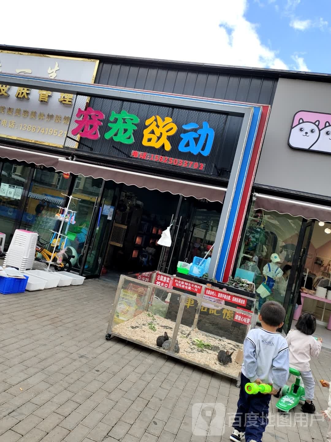 宠宠欲动(腰堡路店)