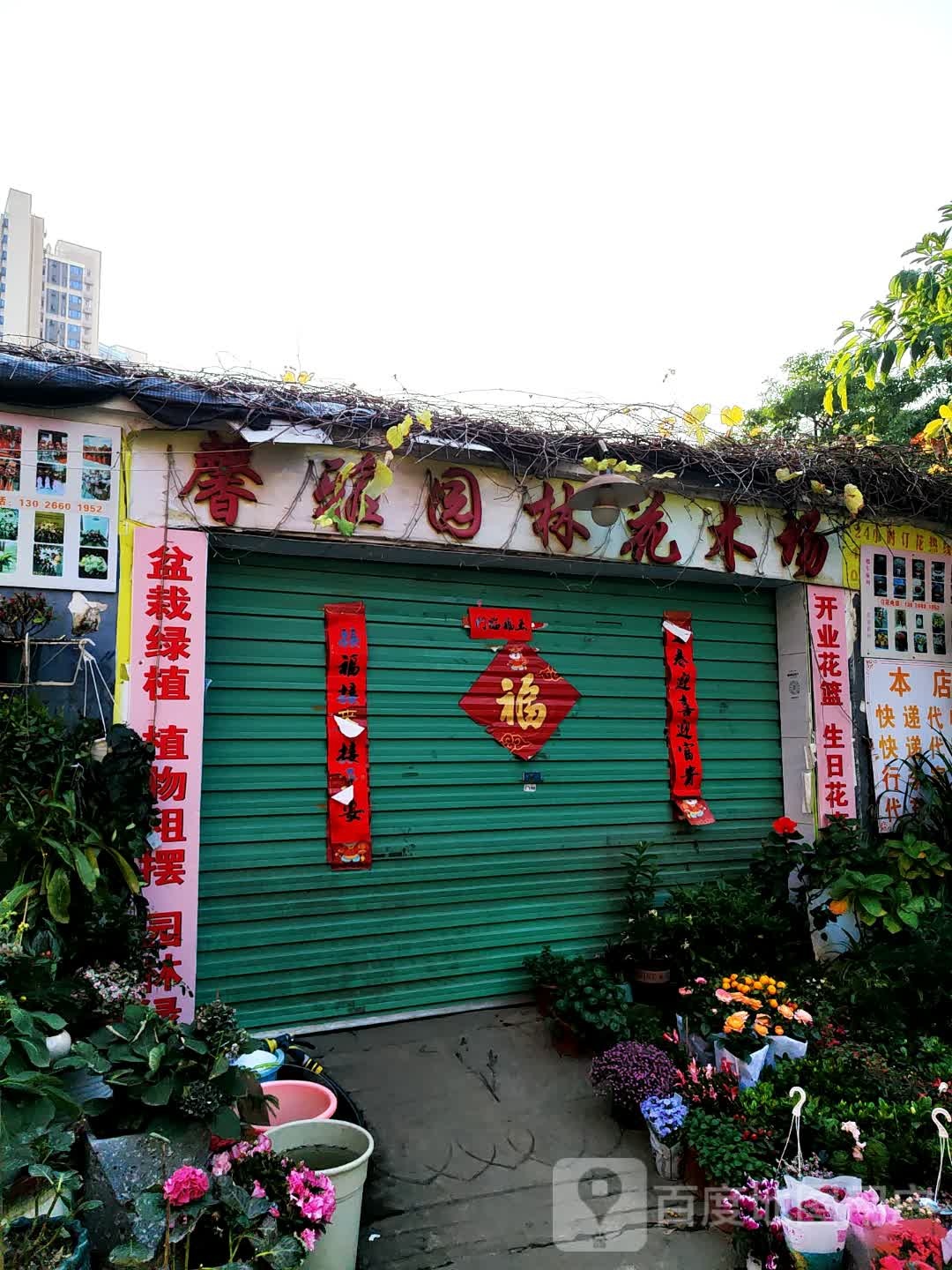 馨雅园林花木场(龙岗店)