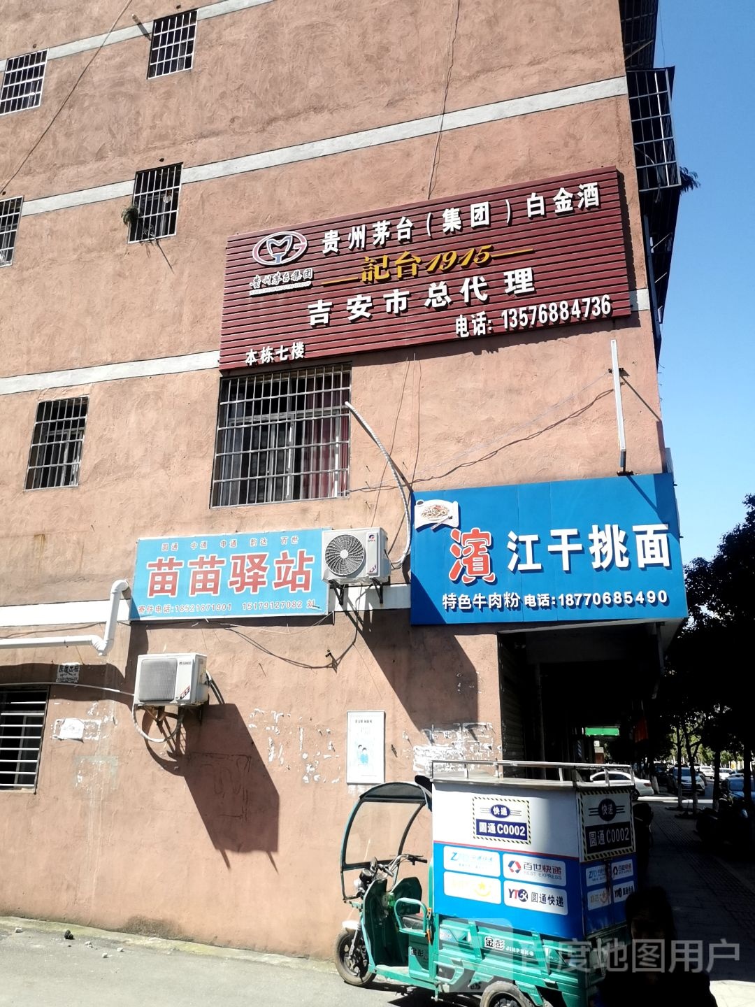 苗苗译站