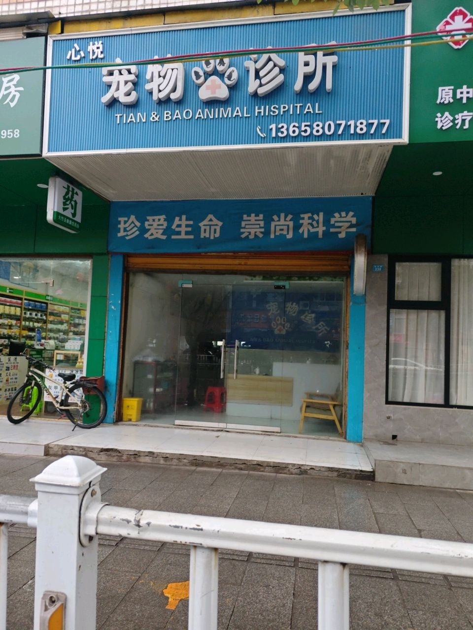 天宝宠物诊所
