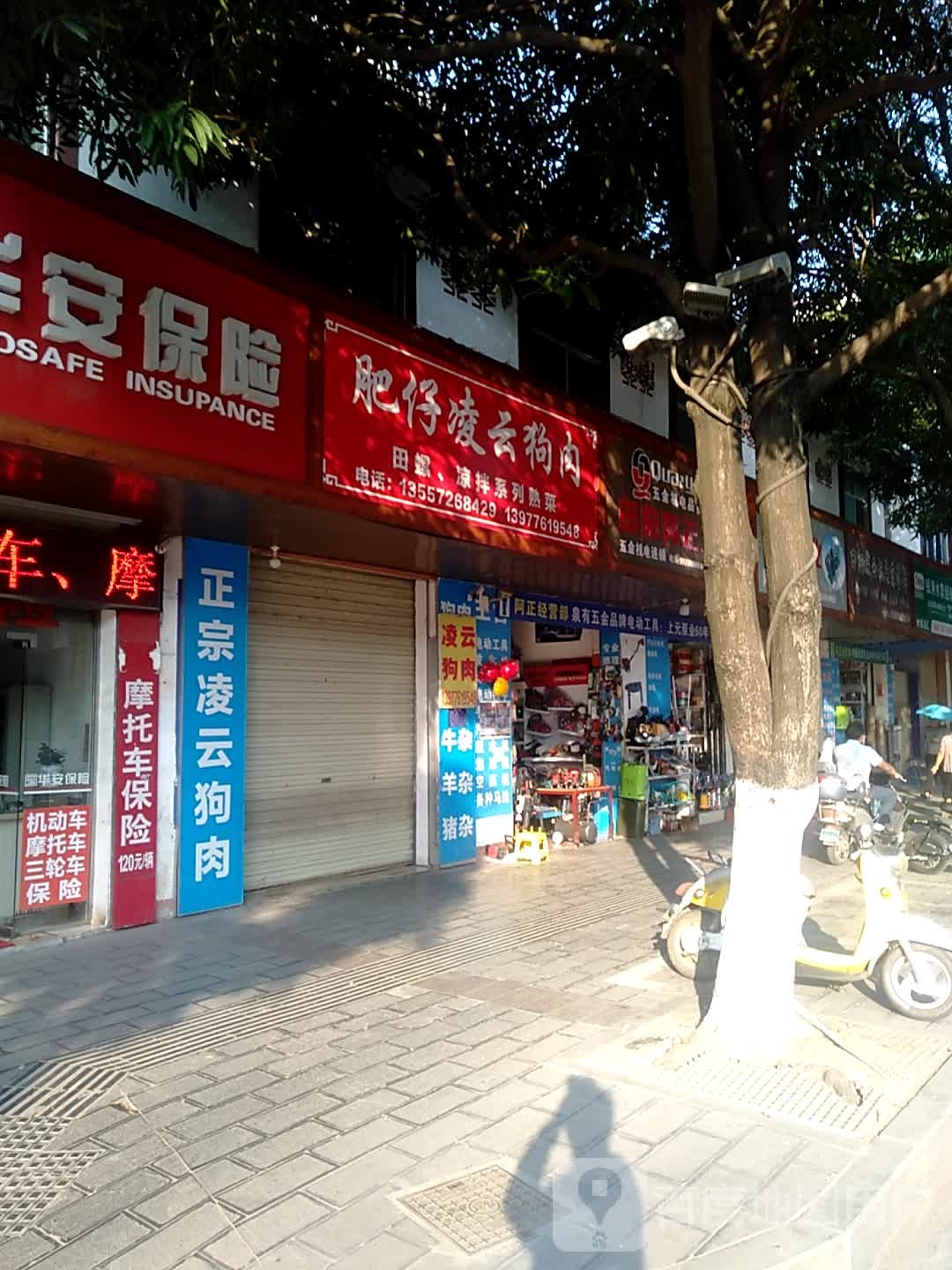 肥仔凌云狗肉