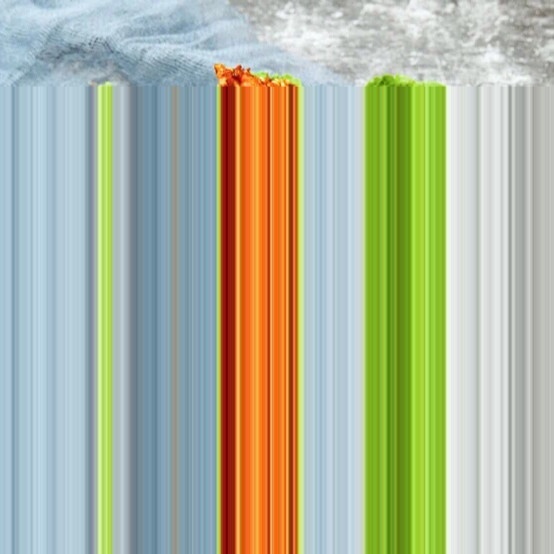 小姐街麻辣鸡架(孝感店)