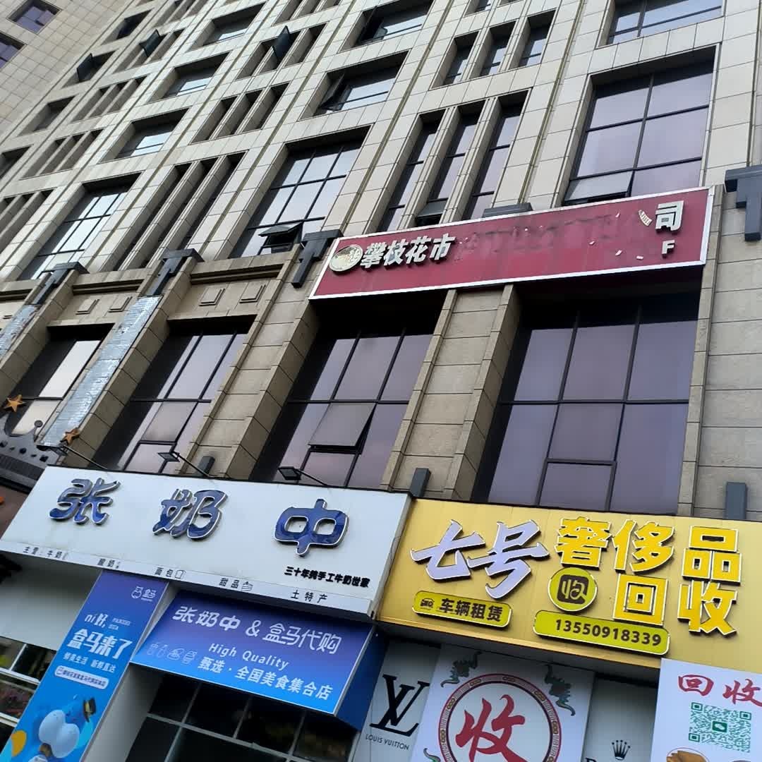 攀枝花市泸商投资有限公司