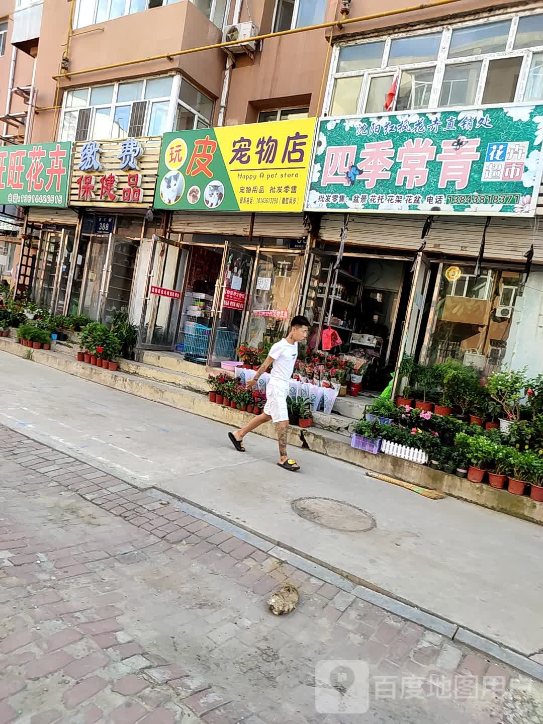 四季常青花卉(繁荣小区店)