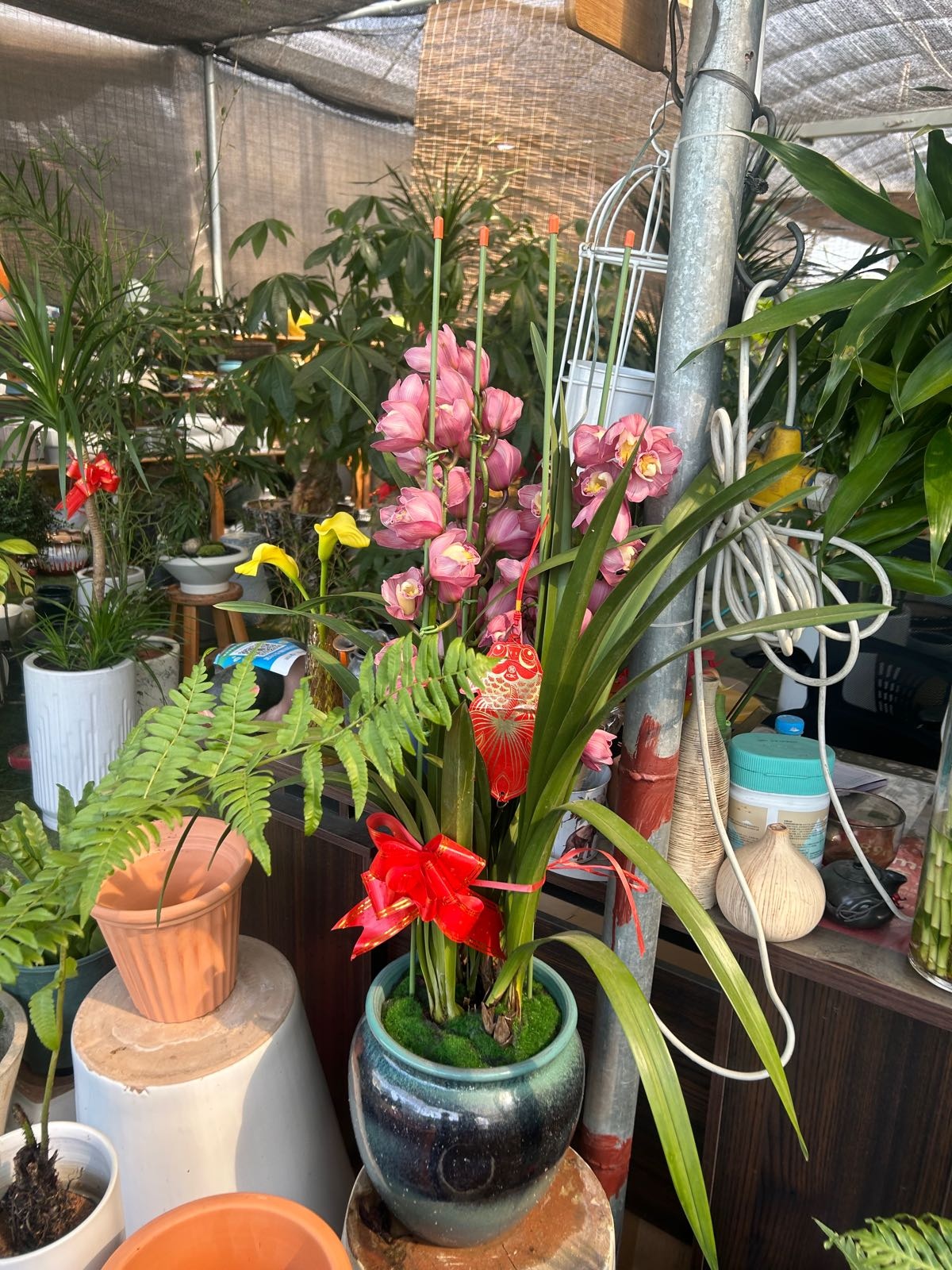 鑫盛花卉市场