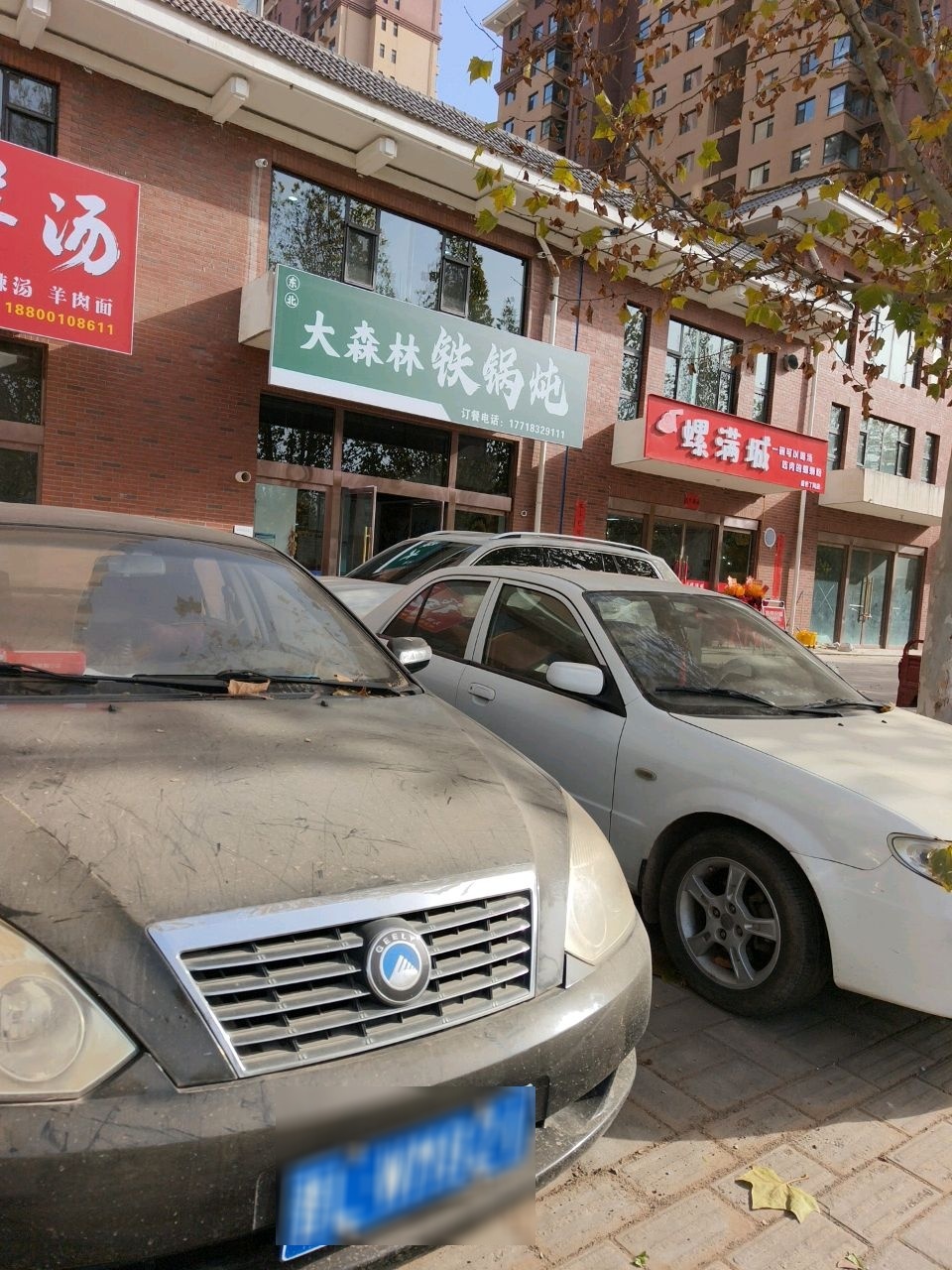 东北大森林铁锅炖