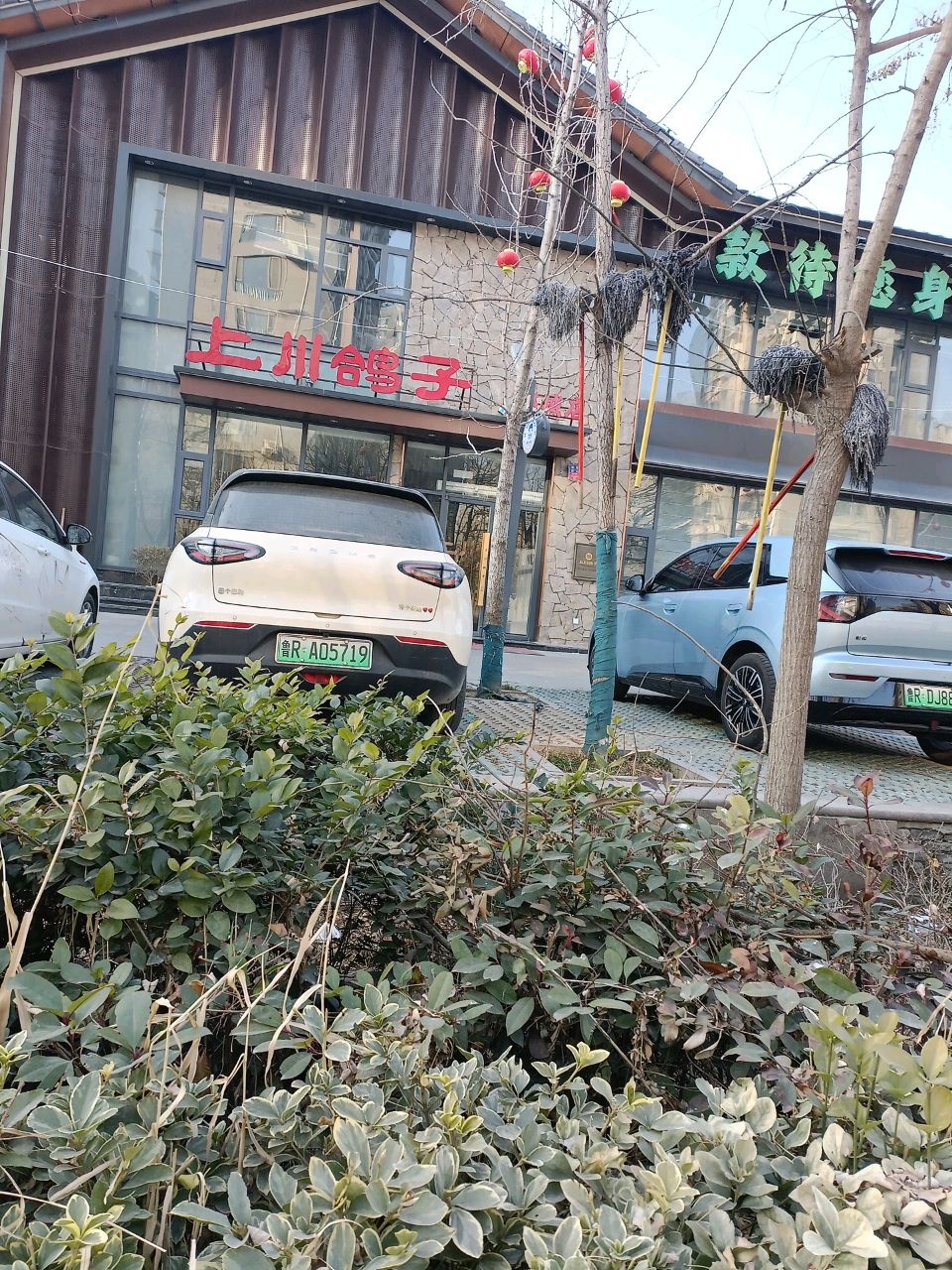 上川鸽子(郓城店)