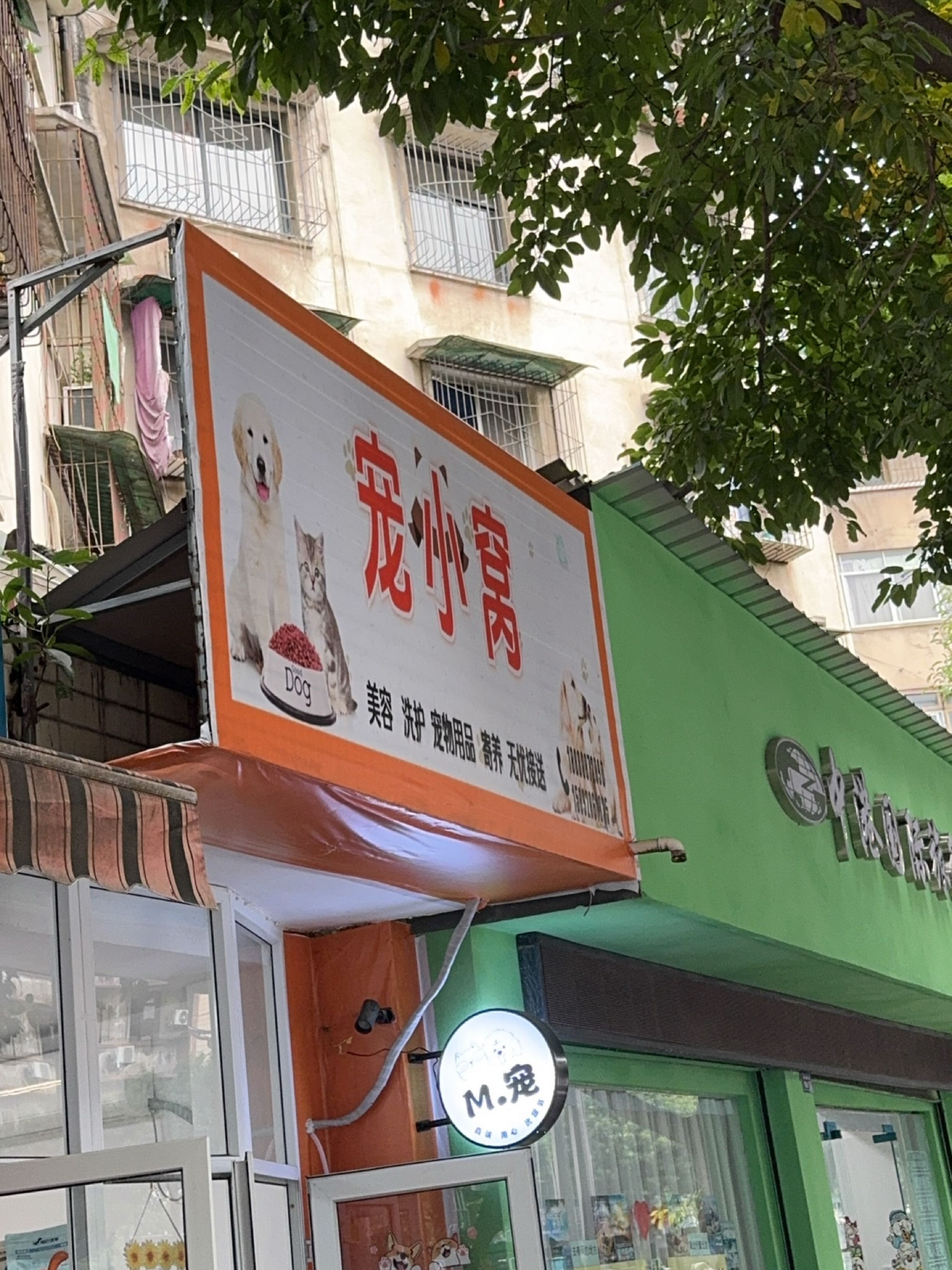 宠小窝