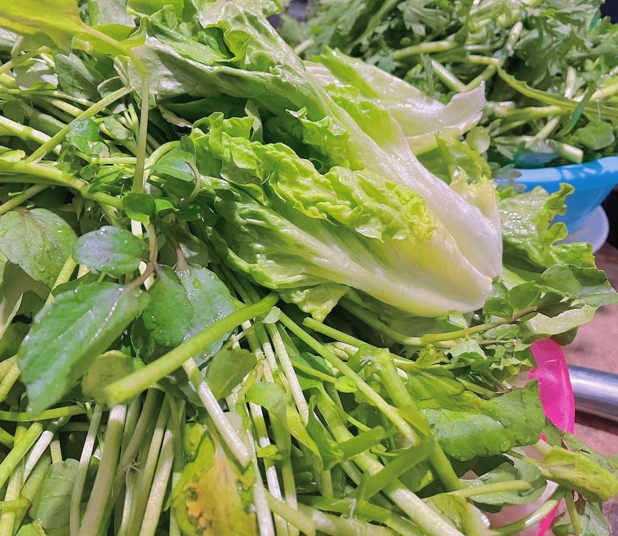 有记特色炆鸡鸭鹅