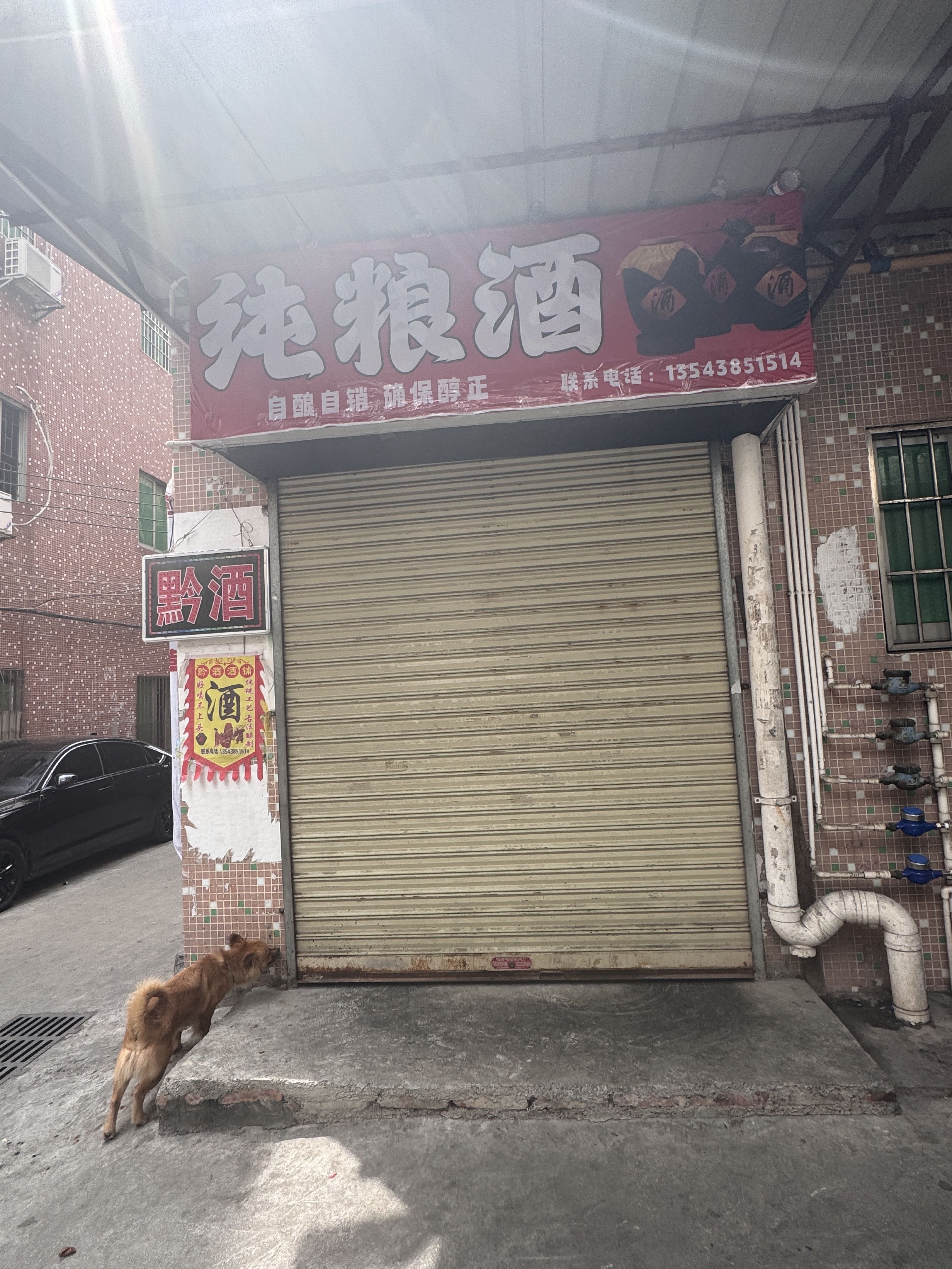 黔酒纯粮酒