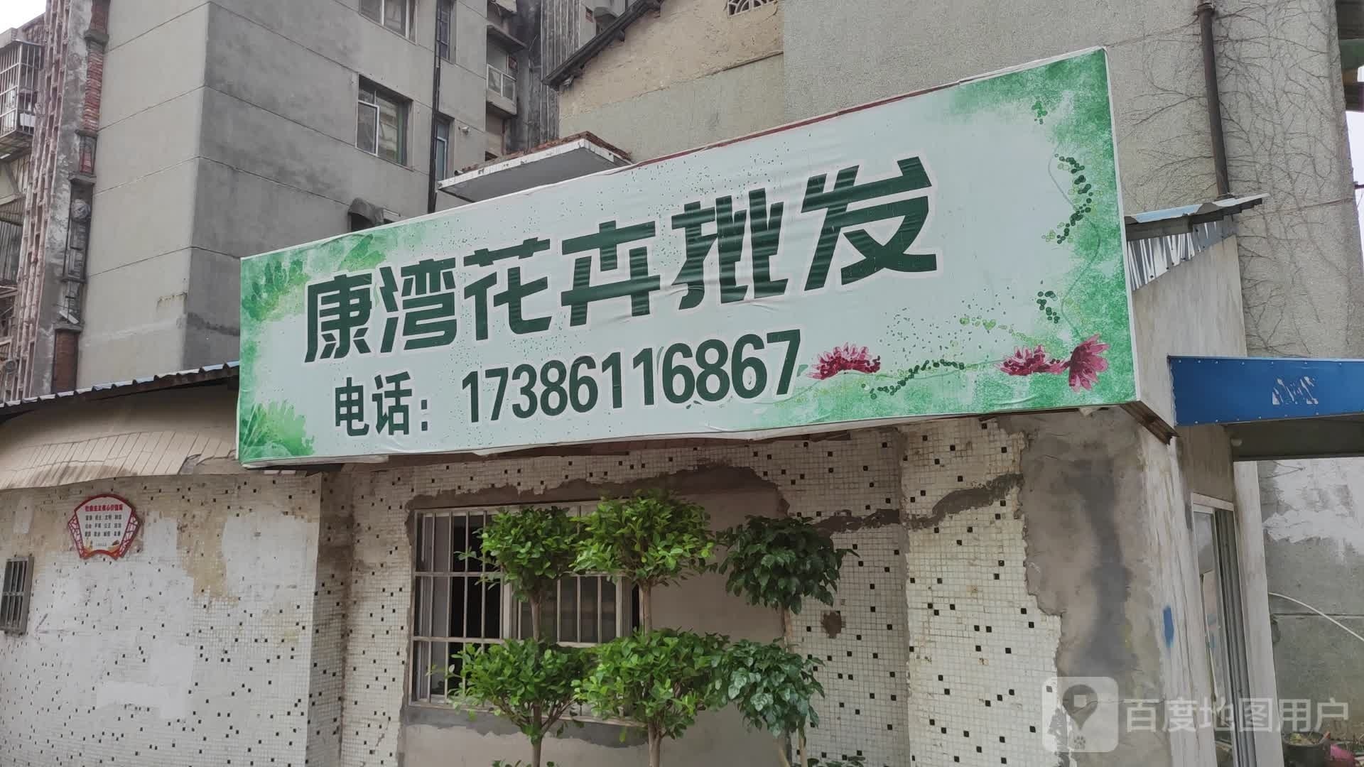 康湾花卉