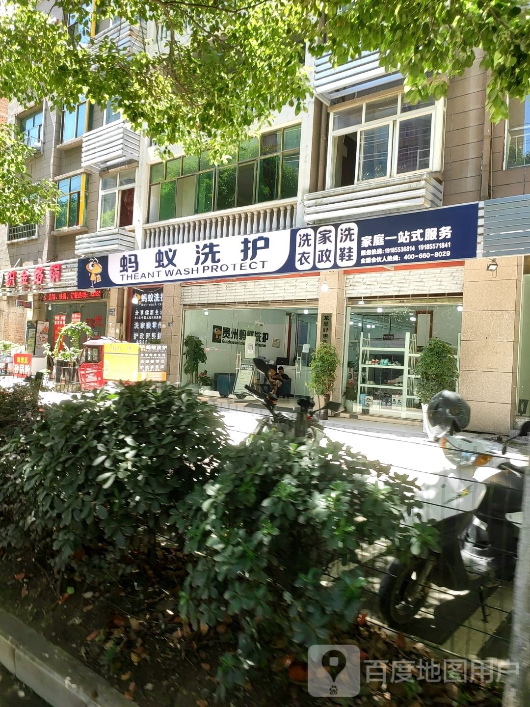 贵州蚂蚁洗护