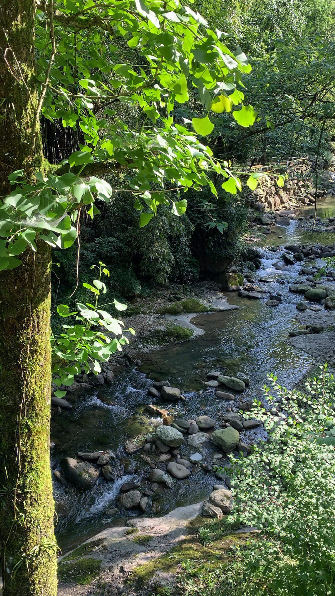 赵公山景区