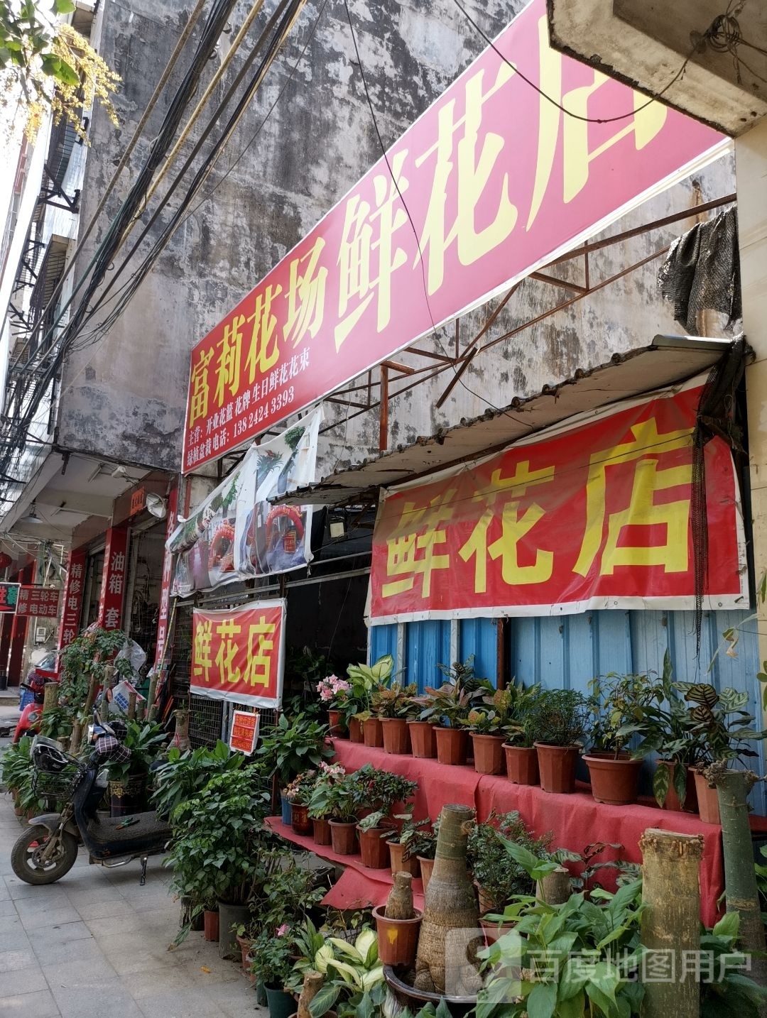 馨莉鲜花店