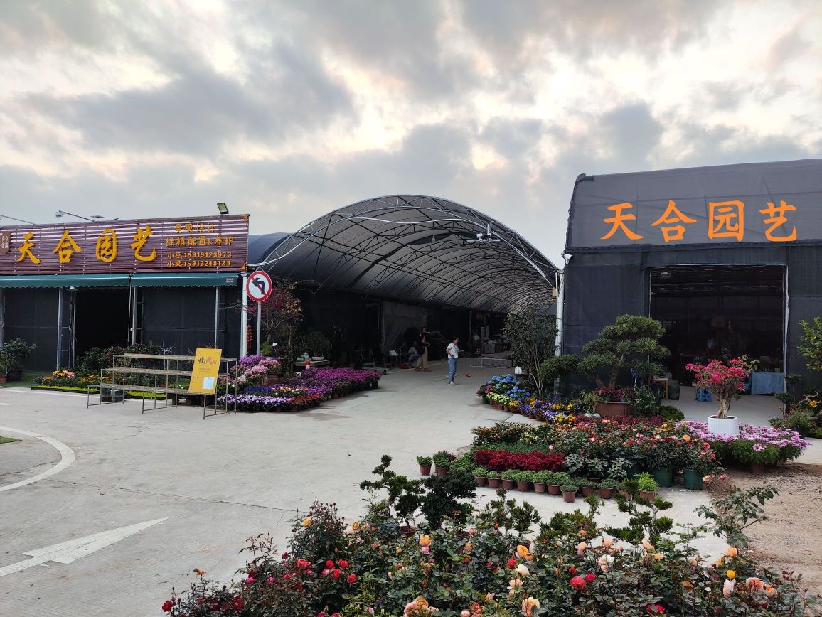 天合园艺(格馨花卉世界店)