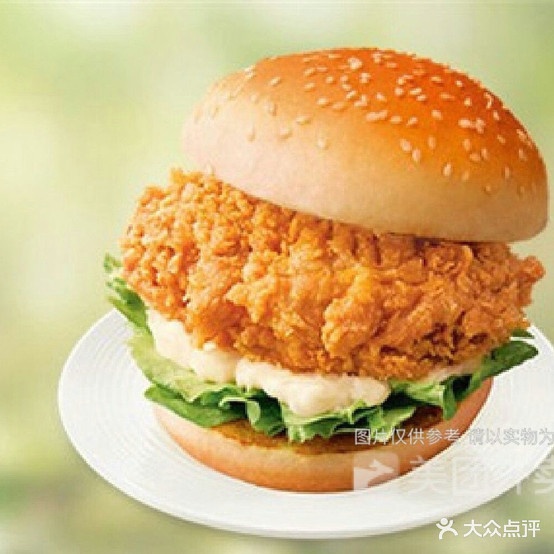 麦乐香炸鸡(嵩山中路店)