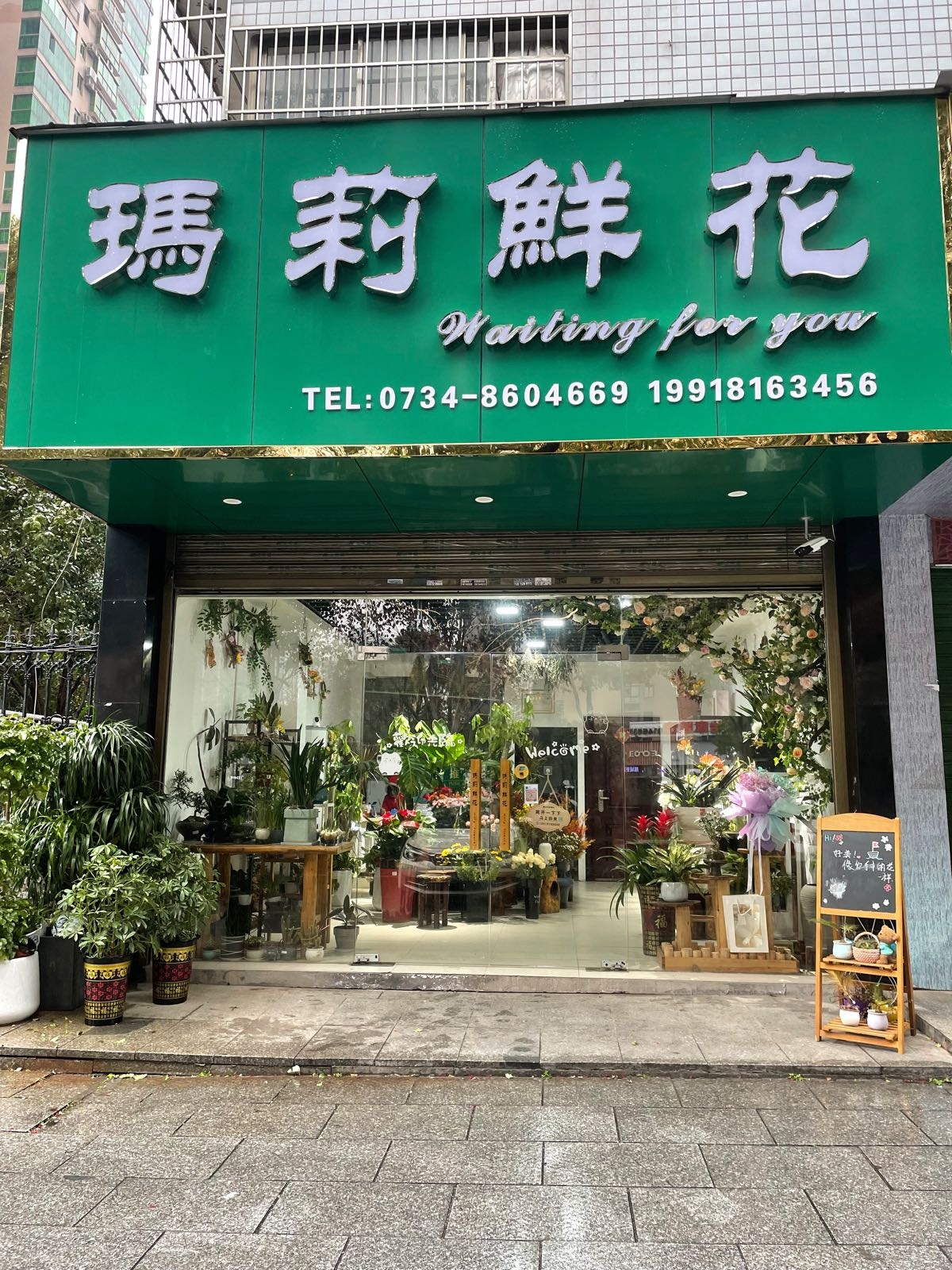玛莉鲜花