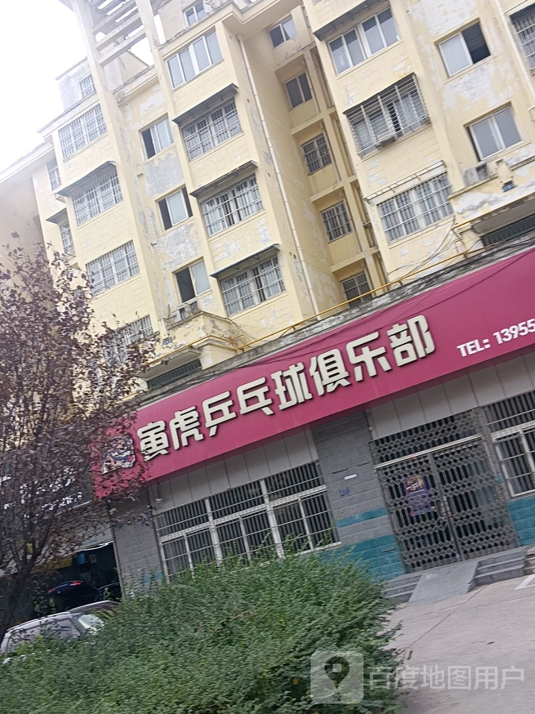 寅虎乒乓球俱乐部