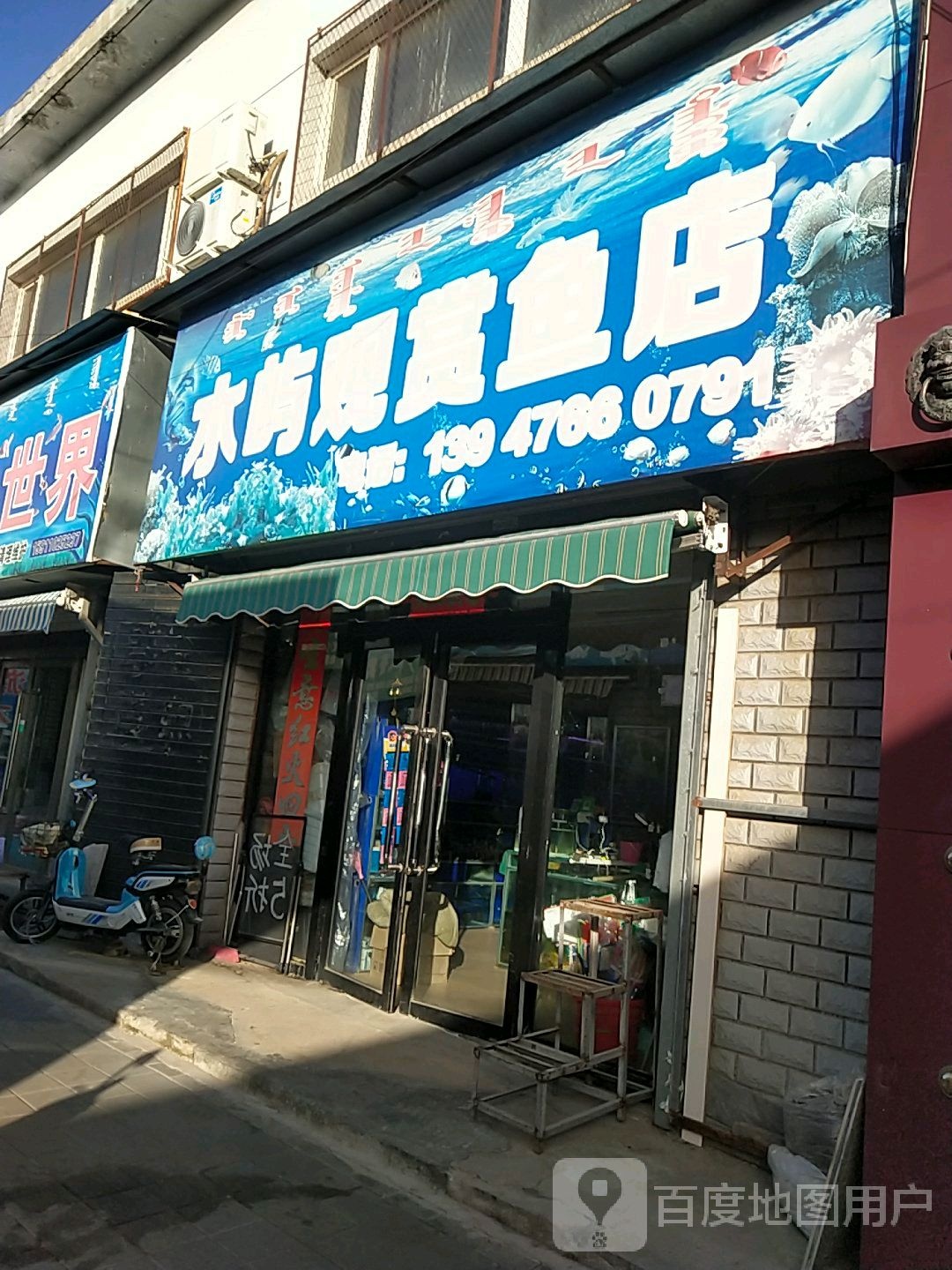 水屿观赏鱼店