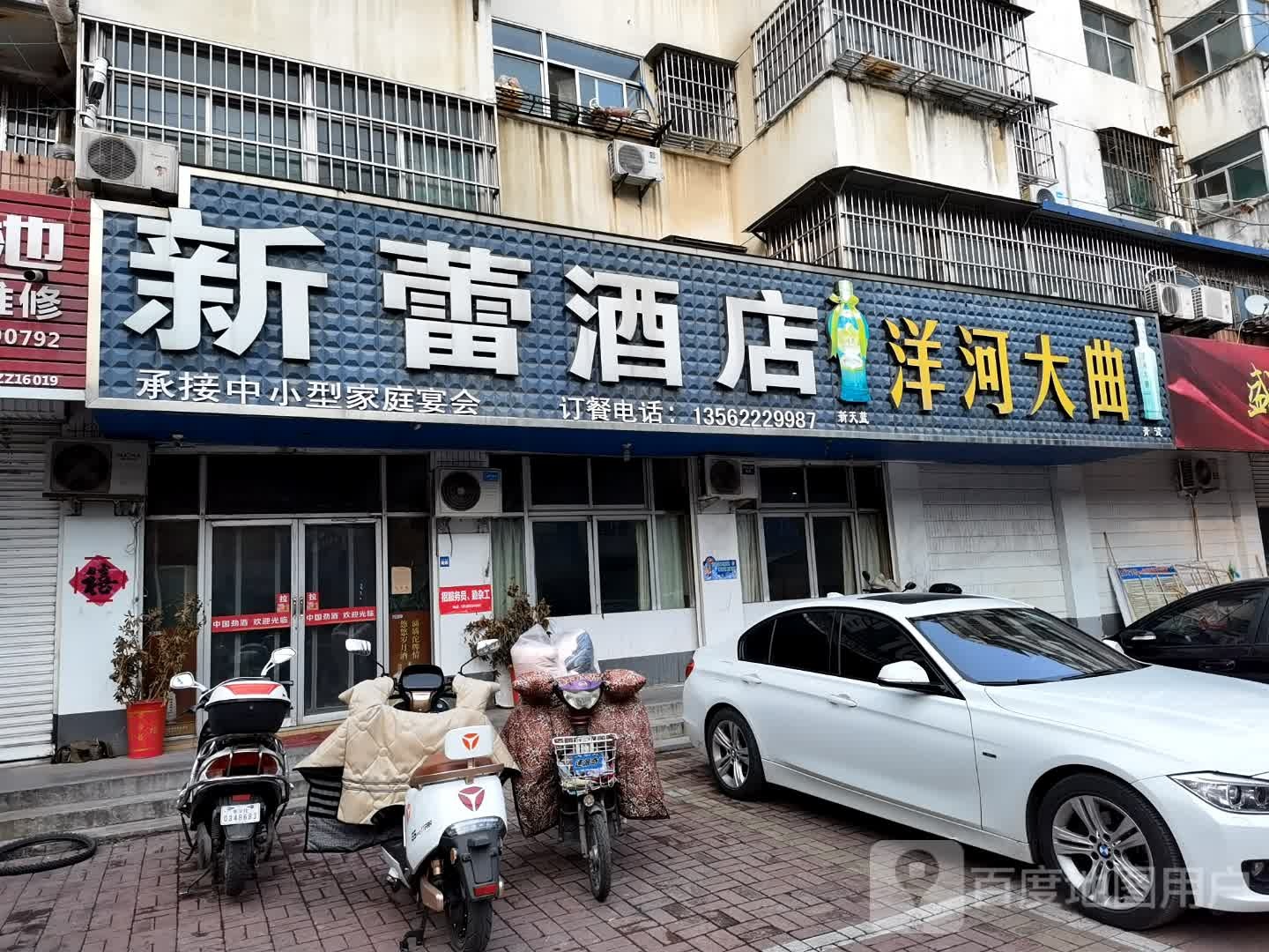 新蕾九点