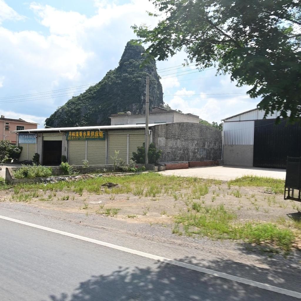 月柿滋香水果供应链