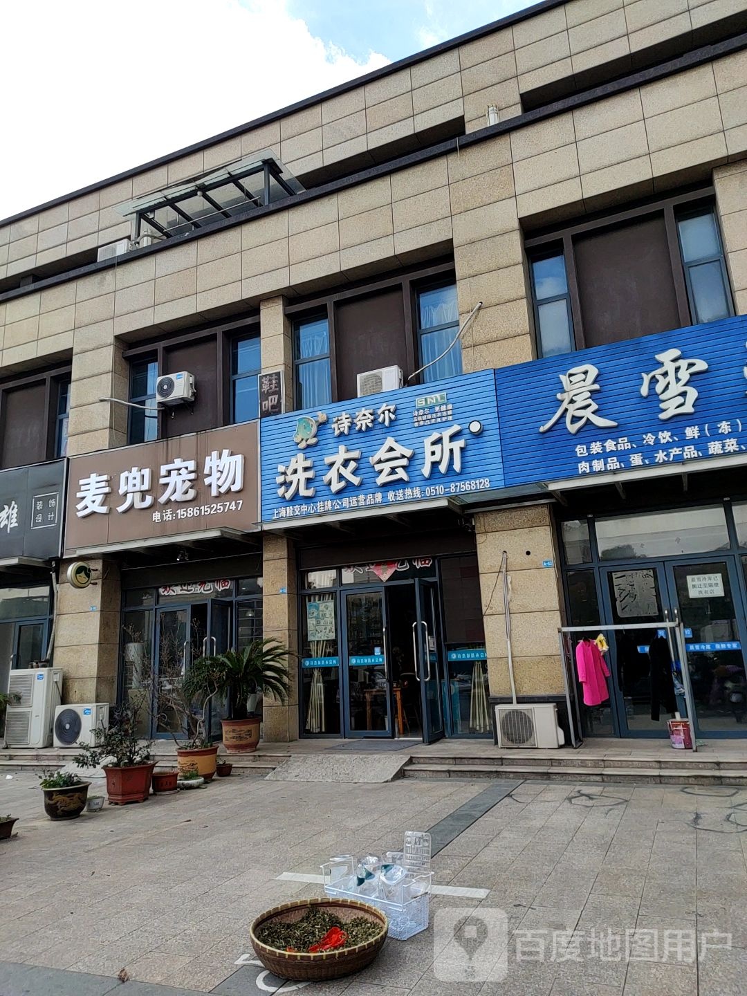 麦兜宠物